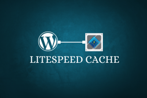Critical LiteSpeed Cache Vulnerability Exposes WordPress Sites to Potential Takeovers | September 2024